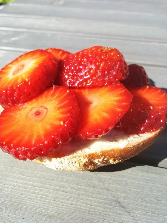 Lekanders Baer & Boende Tyfta Esterno foto