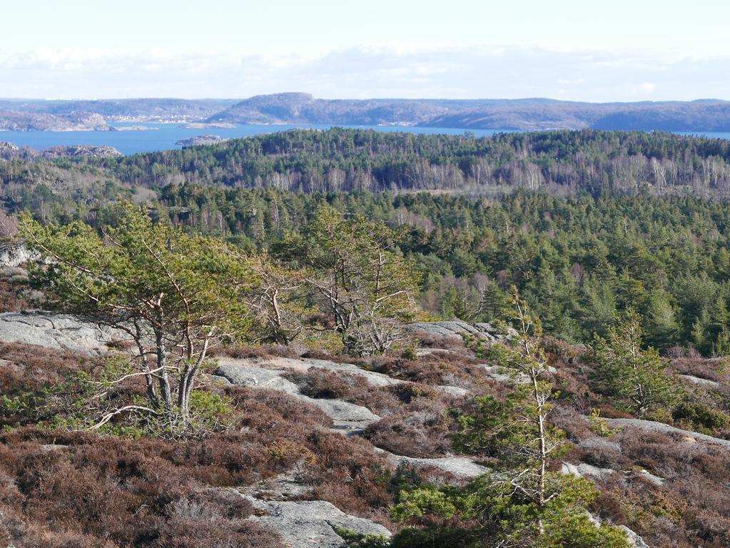 Lekanders Baer & Boende Tyfta Esterno foto
