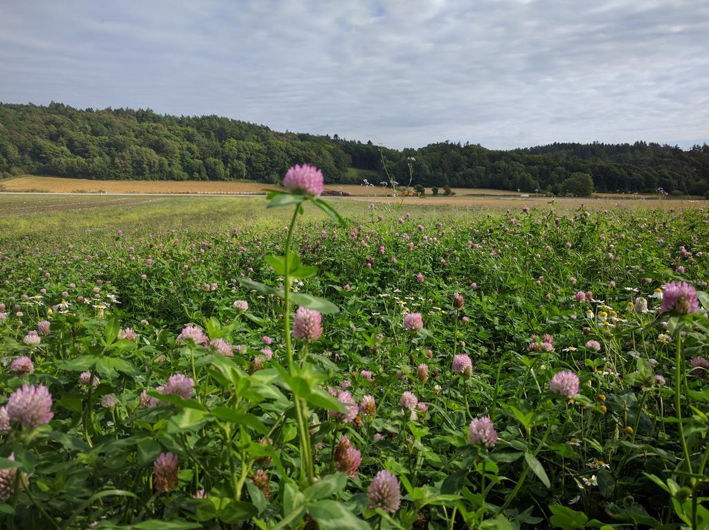 Lekanders Baer & Boende Tyfta Esterno foto